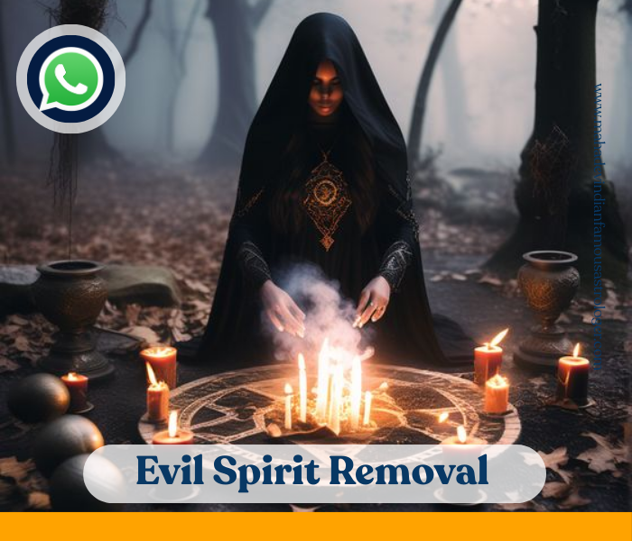 httpsmahadevindianfamousastrologer.com_-1.png